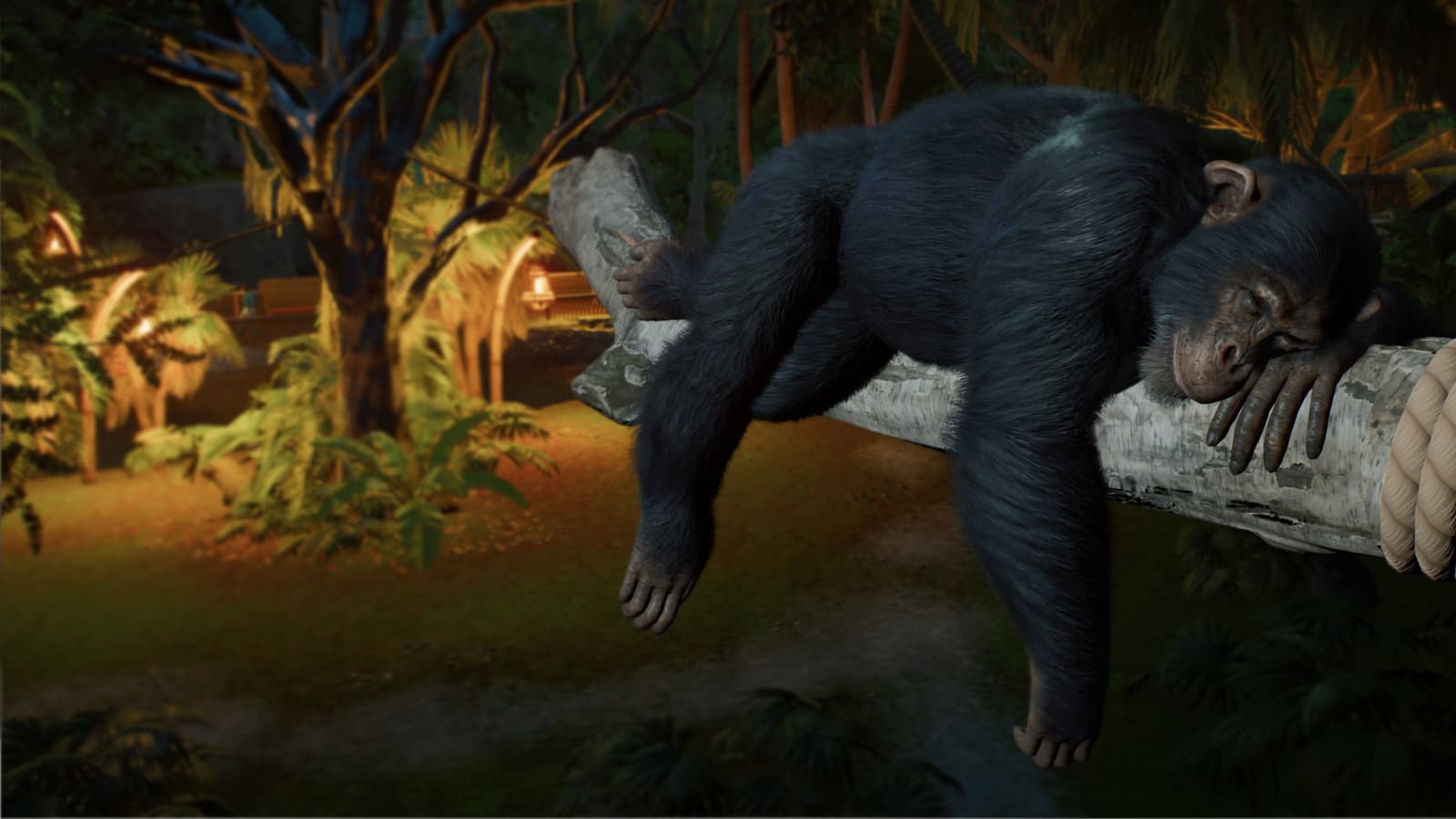 Анонсирован Planet Zoo 2: создайте свой идеальный зоопарк Анонсирован Planet Zoo 2: создайте свой идеальный зоопарк