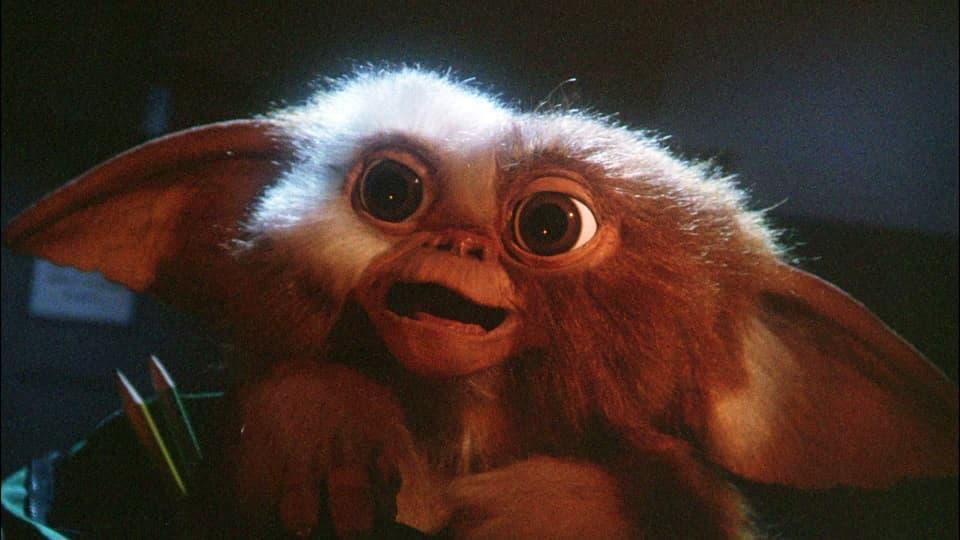 Chris Columbus and Steven Spielberg Team Up to Make “Gremlins 3” Chris Columbus and Steven Spielberg Team Up to Make “Gremlins 3”