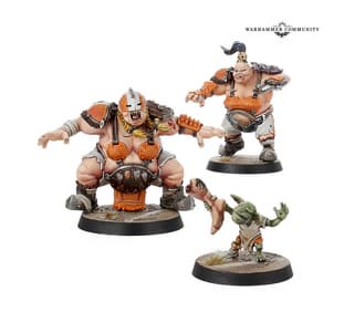 Кости и справочные материалы