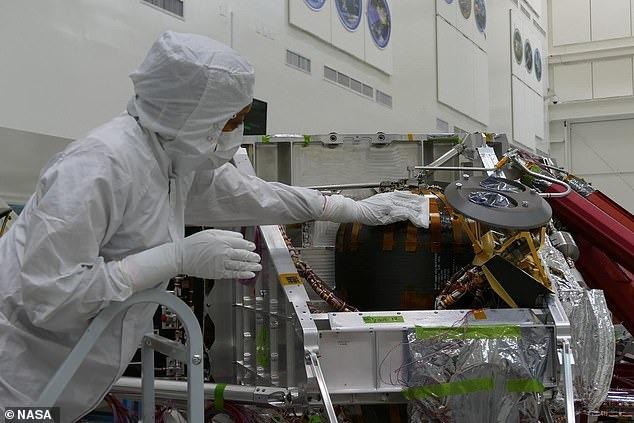 Исследование NASA: грибок Aspergillus calidoustus способен выжить в условиях Марса