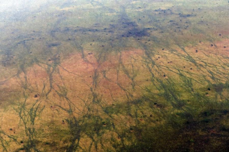 ЮНЕСКО пополнит список объектов под угрозой из-за климата и военных конфликтов