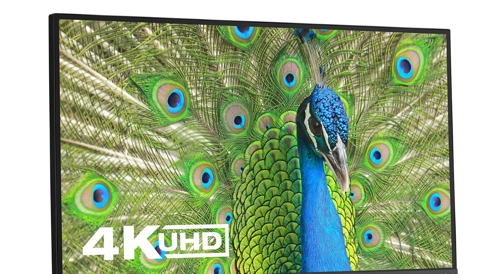 Монитор NEC MultiSync EA271U — разрешение 4К при диагонали 27 дюймов Монитор NEC MultiSync EA271U — разрешение 4К при диагонали 27 дюймов