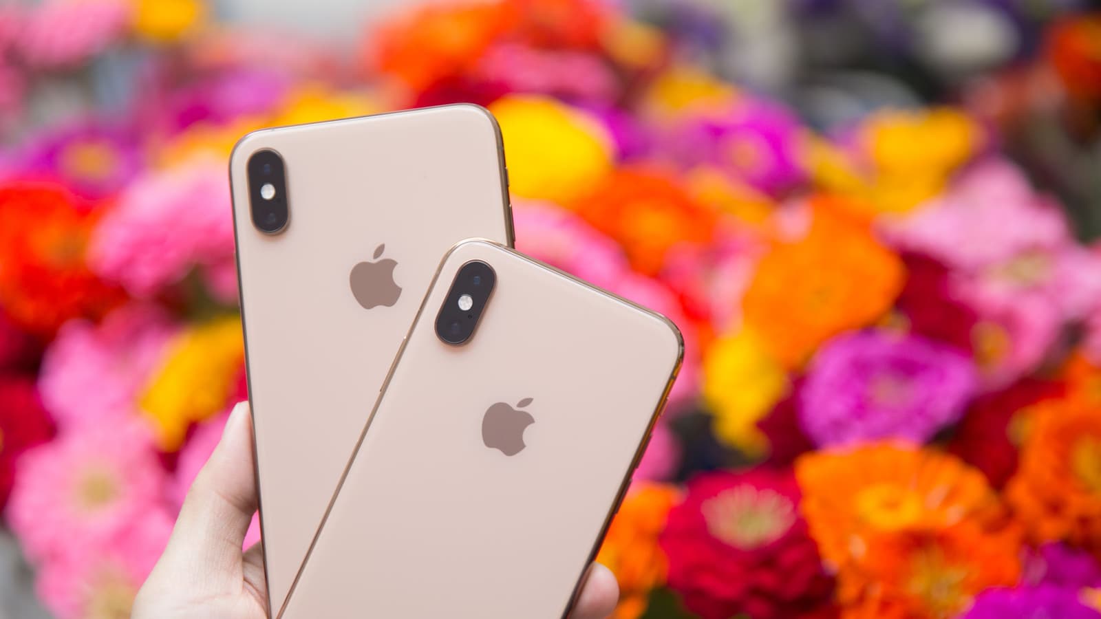 Антимонопольщики Египта дали Apple 60 дней на исправление обнаруженных нарушений в ведении бизнеса