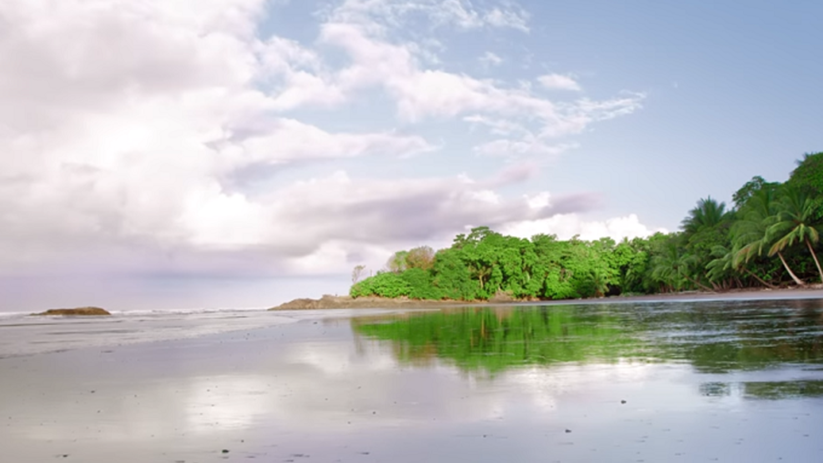 Google Pixel 3 XL умеет воспроизводить HDR-видео в режиме 1440p/60fps