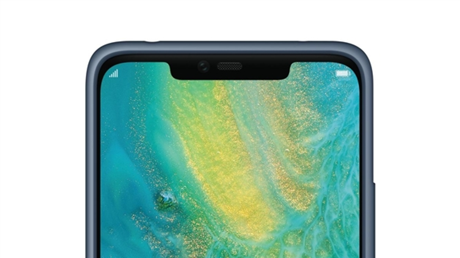 Опубликованы качественные фото нового лучшего камерофона Huawei Mate 20 Pro в чехле