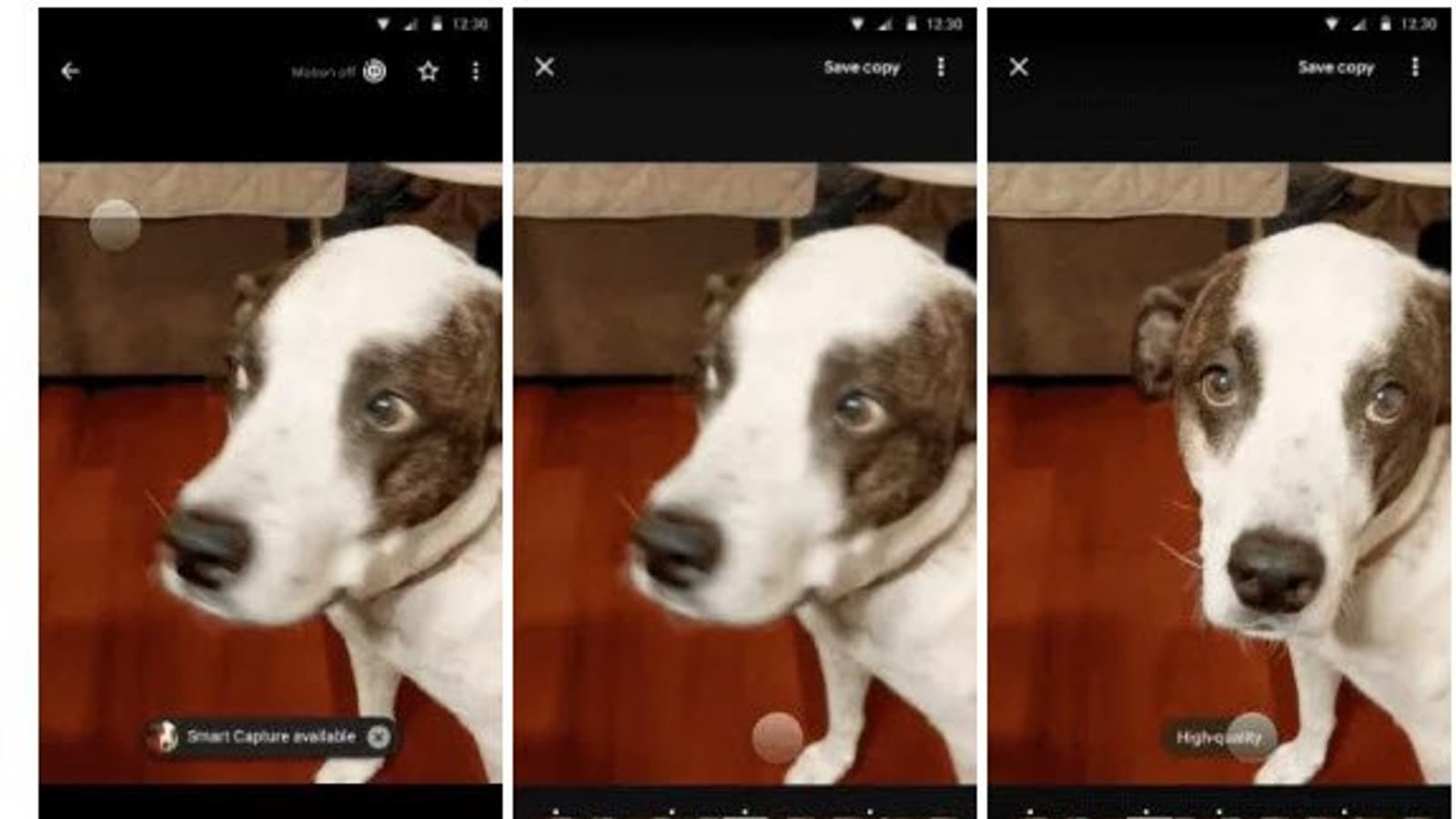 Камера Google Pixel 3 предложит режимы Top Shot, Photobooth, Super Res Zoom и не только