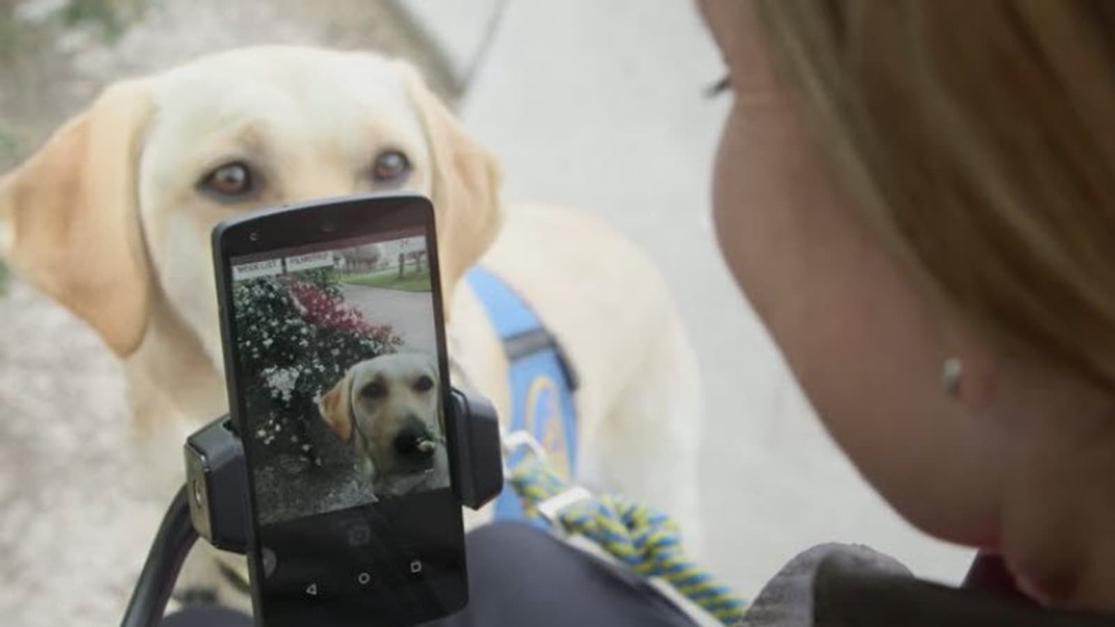 Google выпустила приложение Voice Access для голосового управления Android-устройствами