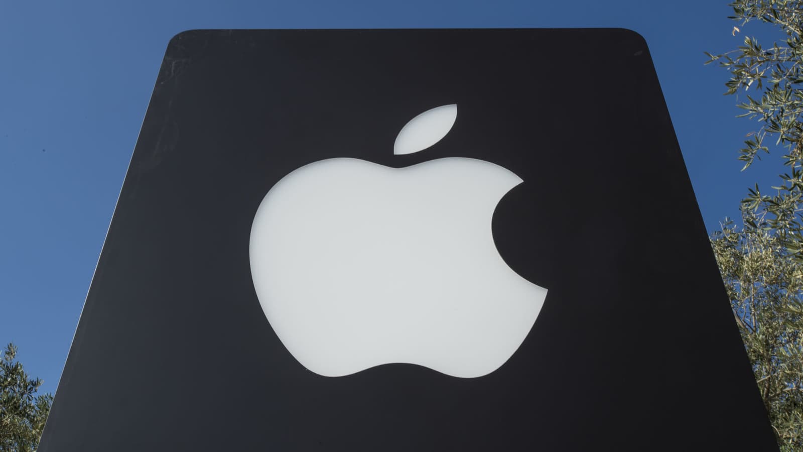 Apple купила разработчика программы для замены фона на видео в реальном времени