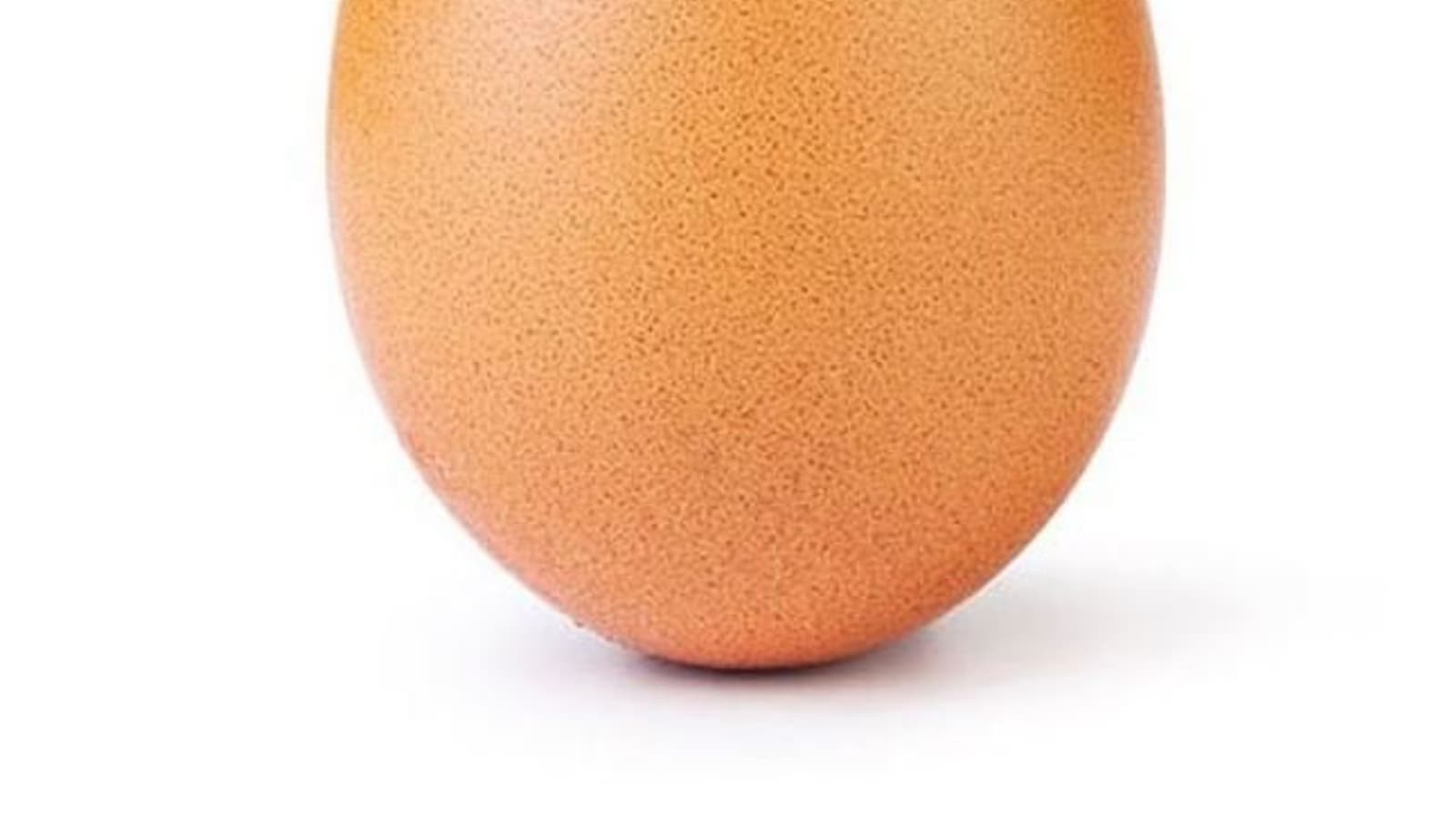 Фотография яйца установила мировой рекорд по числу лайков