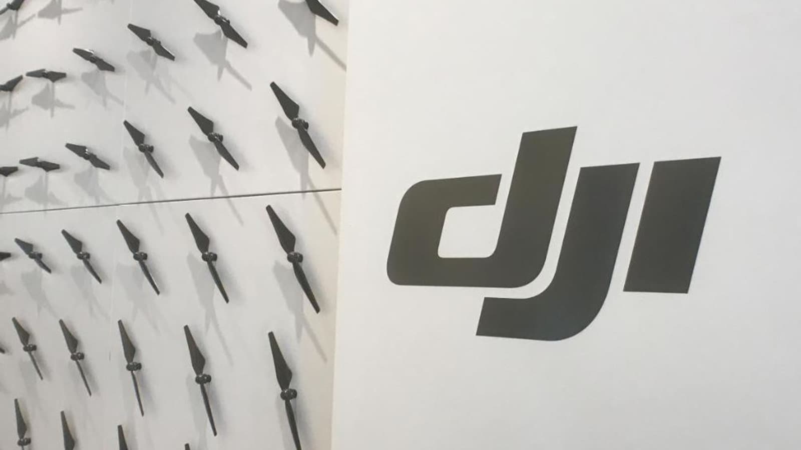 Из-за внутренней коррупции DJI в прошлом году потеряла 150 миллионов долларов