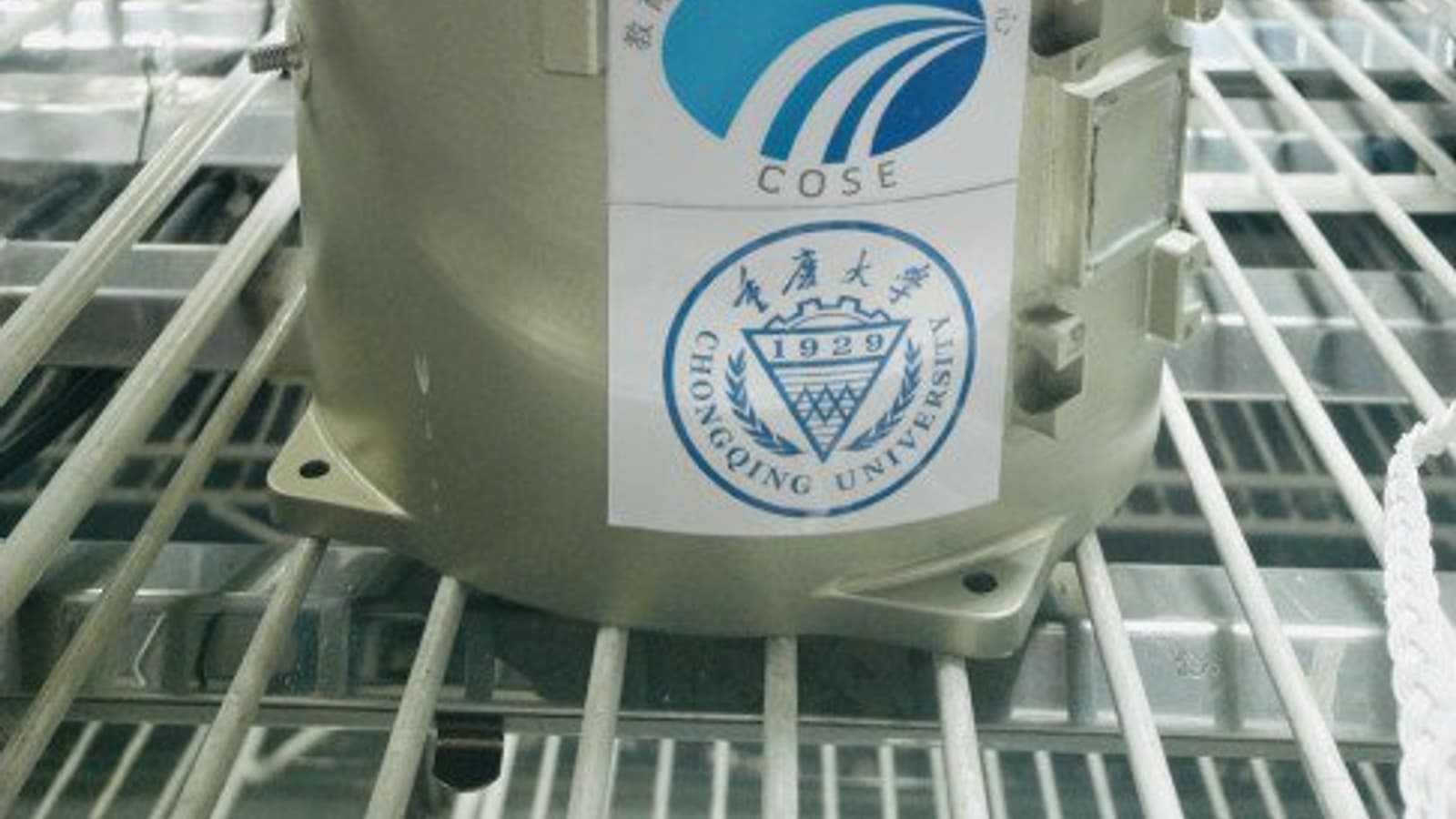 Все растения, которые выросли на космическом аппарате Change-4 на обратной стороне Луны, замёрзли