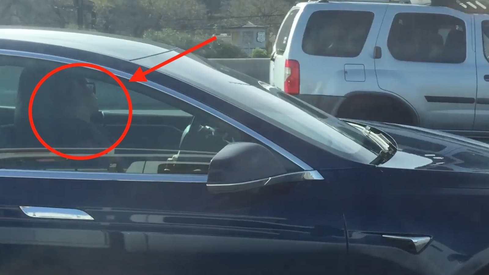 Сила автопилота: водитель Tesla уснул за рулём, пока его машина продолжала двигаться в потоке