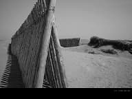 Анонсирован выпуск объектива Voigtlander Nokton 40mm F1.2 Stills Edition с креплением Sony E