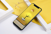 Smartisan тонет, дело пахнет банкротством