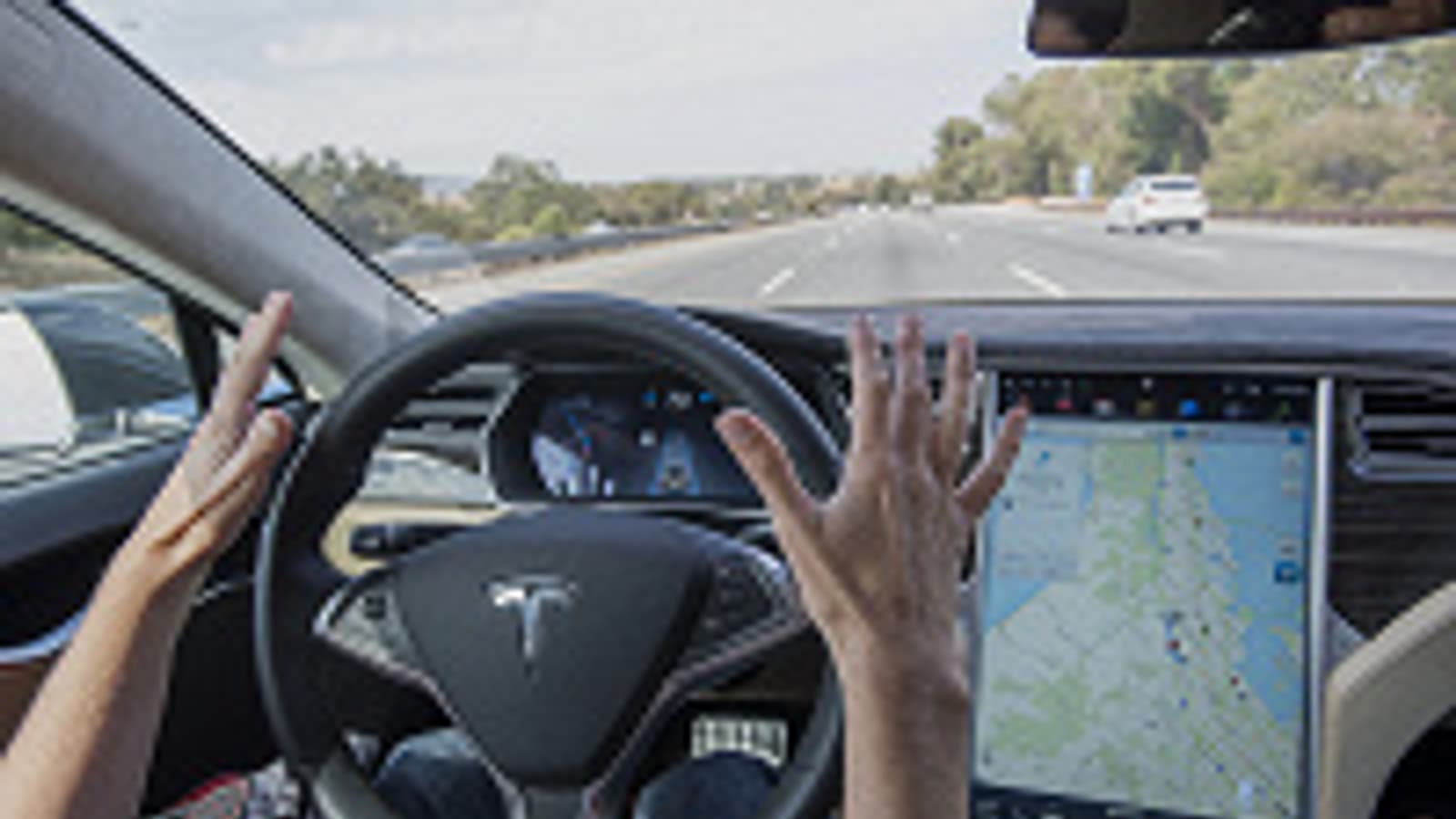 Tesla вырубает лес и угрожает нехваткой питьевой воды ради нового завода