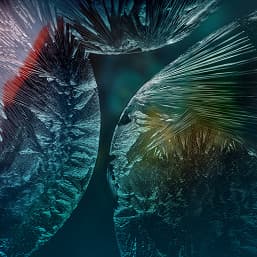 16 оригинальных обоев Huawei P40 Pro в высоком разрешении