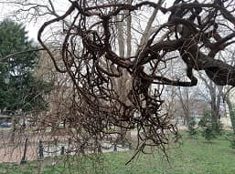 Смотрим как снимает OnePlus 8 Pro. Сможет ли он стать лучшим?