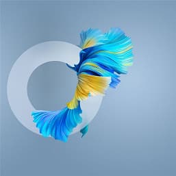 Темы и обои Huawei Mate 40 утекли до анонса