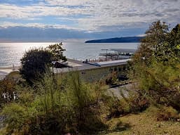 Эталонный «андроидфон», «лучший Samsung 2020 года» и возрождённый «убийца флагманов». Pixel 5, Samsung Galaxy S20 FE и OnePlus 8T в битве камер