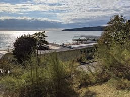 Эталонный «андроидфон», «лучший Samsung 2020 года» и возрождённый «убийца флагманов». Pixel 5, Samsung Galaxy S20 FE и OnePlus 8T в битве камер