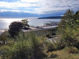 Эталонный «андроидфон», «лучший Samsung 2020 года» и возрождённый «убийца флагманов». Pixel 5, Samsung Galaxy S20 FE и OnePlus 8T в битве камер