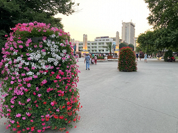 OnePlus Nord 2 против iPhone SE и Samsung Galaxy A52 в битве камер