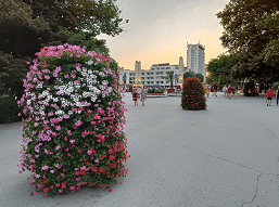 OnePlus Nord 2 против iPhone SE и Samsung Galaxy A52 в битве камер