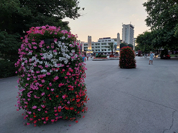 OnePlus Nord 2 против iPhone SE и Samsung Galaxy A52 в битве камер