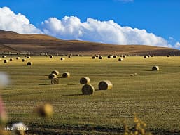 «После просмотра этого, вы поймете, почему я говорю, что это следующий король камер». Фото, сделанные на камеру vivo X90 Pro+, выглядят потрясающе