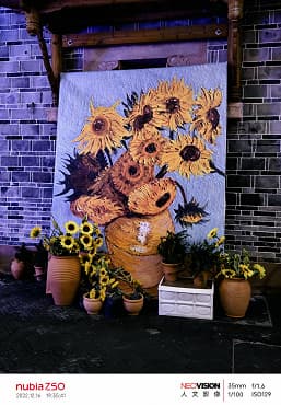 Так снимает самый дешевый флагман на Snapdragon 8 Gen 2. Галерея фото, сделанных на камеру Nubia Z50