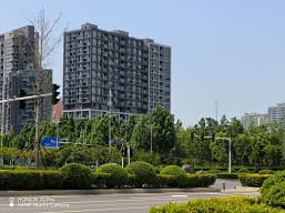 Так снимает Honor 70 Pro, оснащенный новейшим 54-мегапиксельным сенсором Sony IMX800. Опубликованы примеры фото в разных режимах, в том числе и ночью