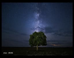 «Я думаю, это вершина смартфонной фотографии». Инсайдер опубликовал фото, сделанные на камеру Vivo X90, и они впечатляют