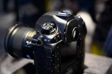 Смотреть можно, трогать нельзя