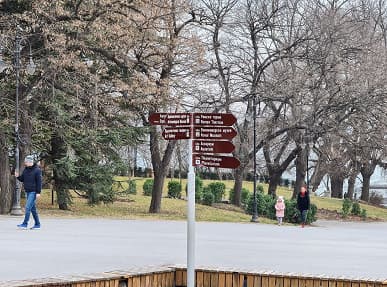 Первое крупное сравнение камер Samsung Galaxy S20 Ultra и iPhone 11 Pro Max