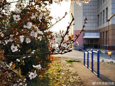 Появились долгожданные фото с камеры Huawei P40 Pro Появились долгожданные фото с камеры Huawei P40 Pro