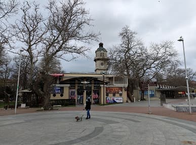 Смотрим как снимает OnePlus 8 Pro. Сможет ли он стать лучшим?