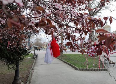 Смотрим как снимает OnePlus 8 Pro. Сможет ли он стать лучшим?