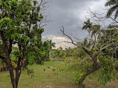 Так снимает новый Google Pixel. Первые фотографии 