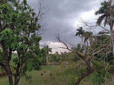 Так снимает новый Google Pixel. Первые фотографии 