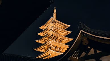 Режим «Черное золото» в камере MIUI 12. Примеры фото