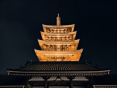 Режим «Черное золото» в камере MIUI 12. Примеры фото