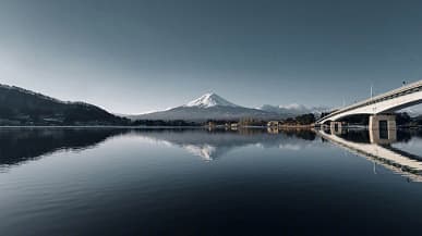 Режим «Черное золото» в камере MIUI 12. Примеры фото