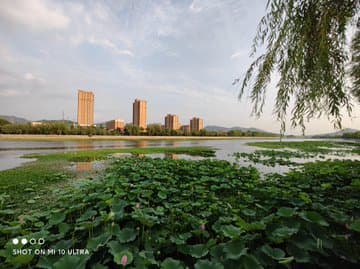 120-кратный зум Xiaomi Mi10 Ultra оказался бесполезным. Примеры фотографий