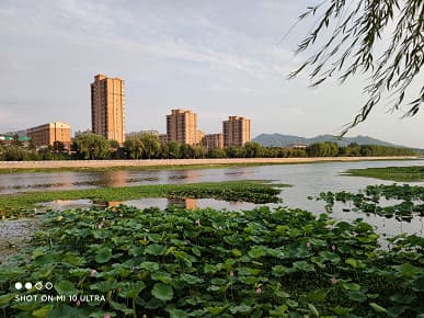 120-кратный зум Xiaomi Mi10 Ultra оказался бесполезным. Примеры фотографий