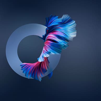 Хоть немного почувствовать себя владельцем Huawei Mate 40 Pro. Все обои для новинки в оригинальном разрешении