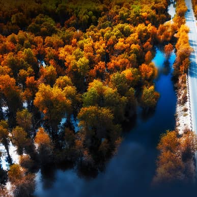 Хоть немного почувствовать себя владельцем Huawei Mate 40 Pro. Все обои для новинки в оригинальном разрешении