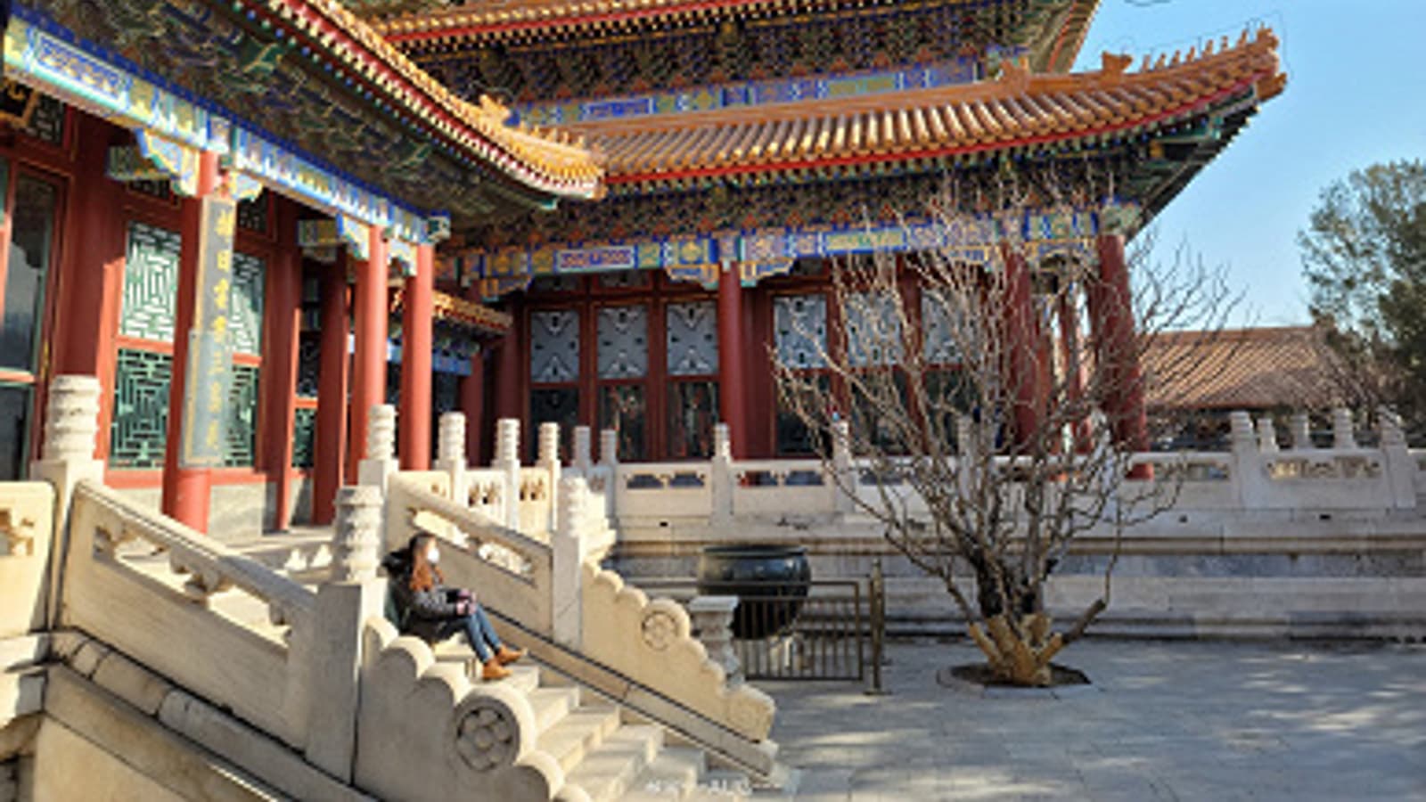 Отличная демонстрация зума в Samsung Galaxy S21 Ultra