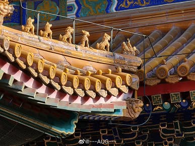 Отличная демонстрация зума в Samsung Galaxy S21 Ultra