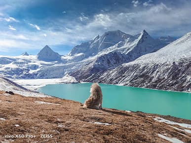 Шикарные фото в сложных условиях с флагманского камерофона Vivo X60 Pro+ Шикарные фото в сложных условиях с флагманского камерофона Vivo X60 Pro+