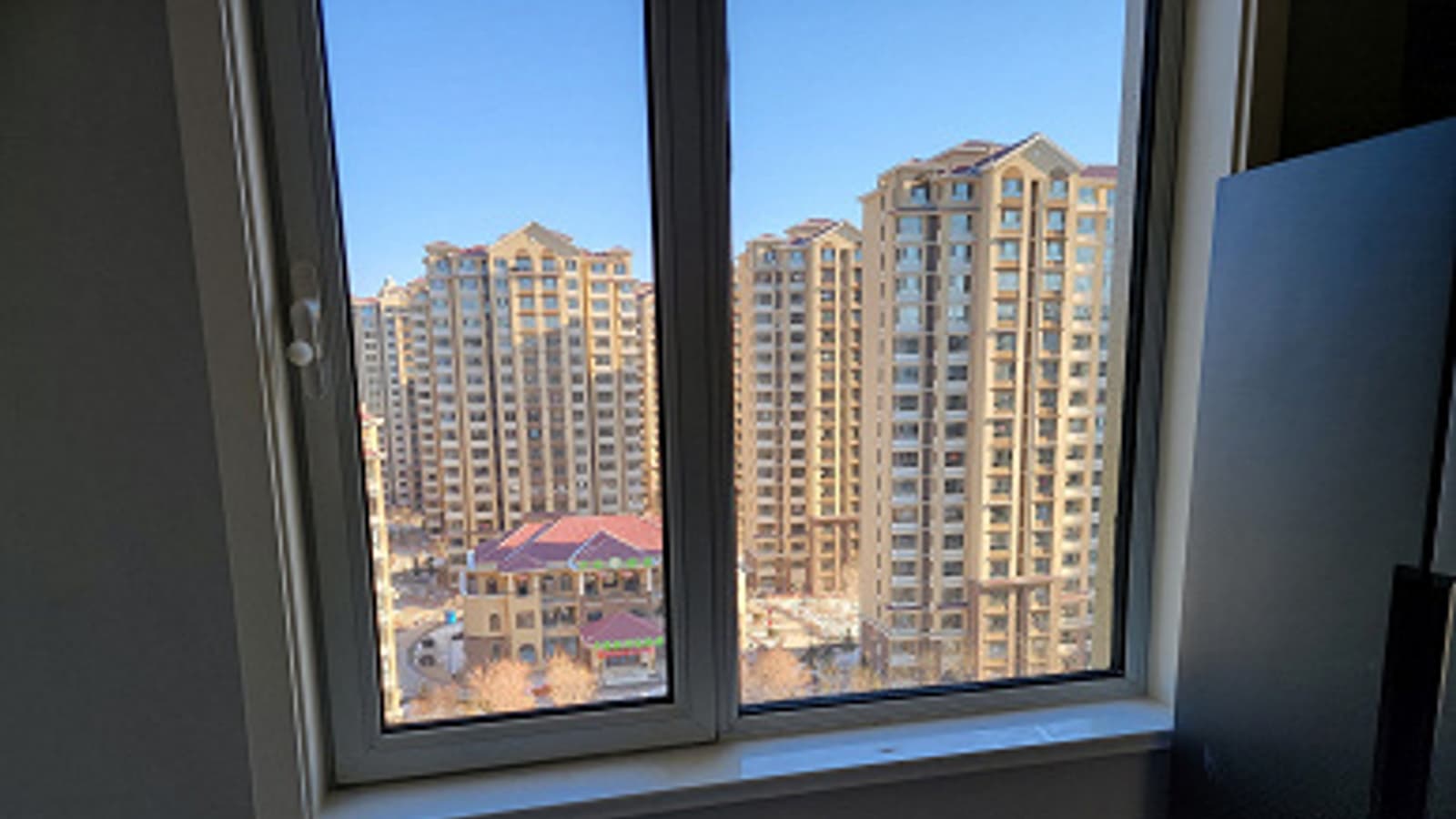 Впечатляющие возможности зума Samsung Galaxy S21 Ultra на живых фото